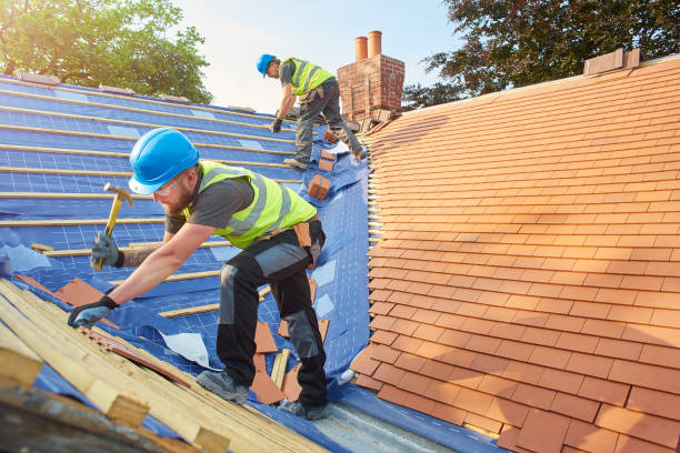 Best Skylight Installation and Repair  in Hughestown, PA